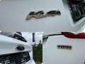 Ford Kuga 2.0 TDCi 4WD Titanium / 12m garantie / Automaat Weiß - thumbnail 10