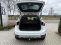 Ford Kuga 2.0 TDCi 4WD Titanium / 12m garantie / Automaat Weiß - thumbnail 6
