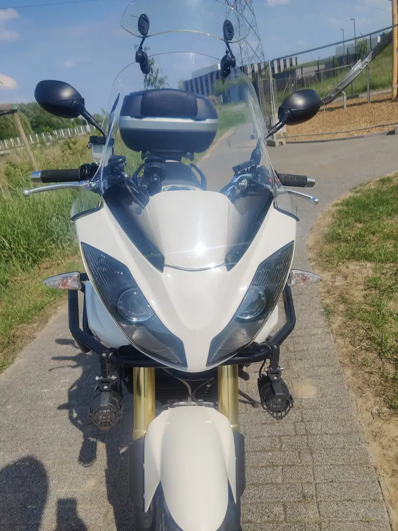 Triumph Tiger 1050 Fehér - 2