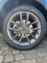 Cirelli Cirelli 2 Cirelli 2 1.5 bi-fuel Gpl Premium 95cv cvt Blau - thumbnail 13