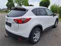 Mazda CX-5 /CD150/AWD/CHALLENGE Bianco - thumbnail 3