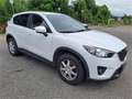 Mazda CX-5 /CD150/AWD/CHALLENGE Bianco - thumbnail 4
