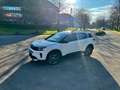 Citroen C5 Aircross Shine Hybrid EAT8 New Model ** Led - Cam360 ** Weiß - thumbnail 21