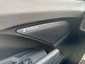 CUPRA Terramar VZ 2.0 TSI 265 PS DSG 4Drive Grau - thumbnail 20