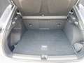CUPRA Terramar VZ 2.0 TSI 265 PS DSG 4Drive Grau - thumbnail 10