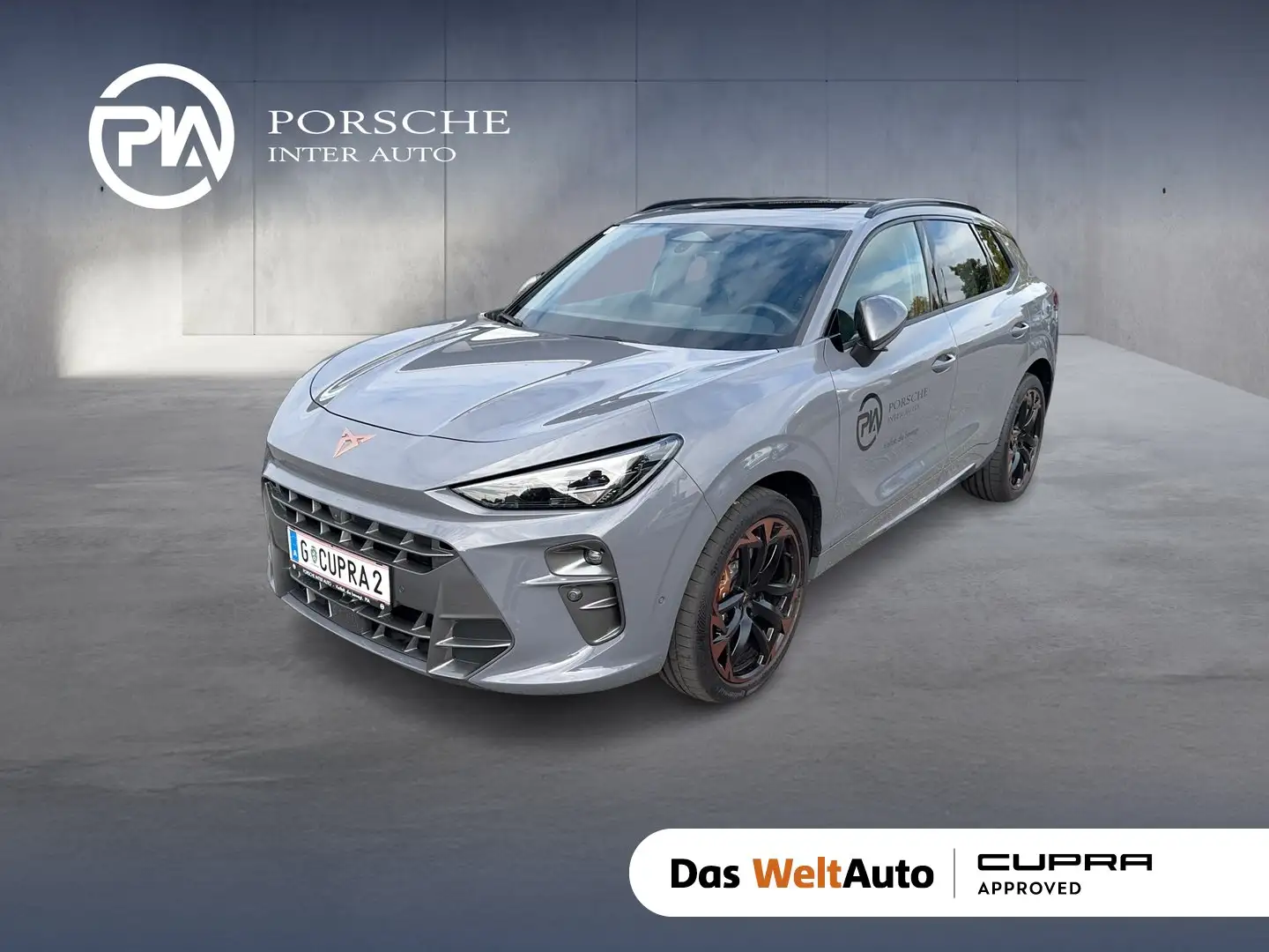 CUPRA Terramar VZ 2.0 TSI 265 PS DSG 4Drive Grau - 1
