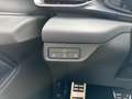 CUPRA Terramar VZ 2.0 TSI 265 PS DSG 4Drive Grau - thumbnail 19