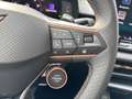 CUPRA Terramar VZ 2.0 TSI 265 PS DSG 4Drive Grau - thumbnail 18