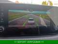Skoda Kamiq 1.0 TSI Selection Plus*Alu 16"*Kamera*SHZ Argent - thumbnail 35