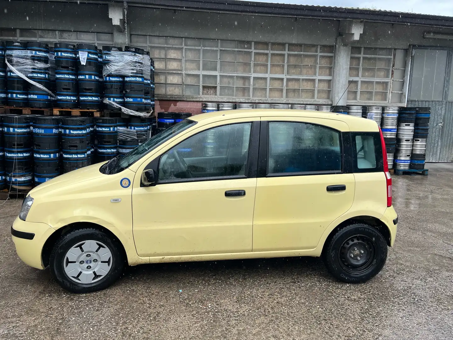 Fiat Panda 1.2 Dynamic eco Giallo - 2