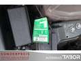 MINI Cooper S S Chili-P Wired-P PDC GRA SHZ LM HU03/27 Brun - thumbnail 13