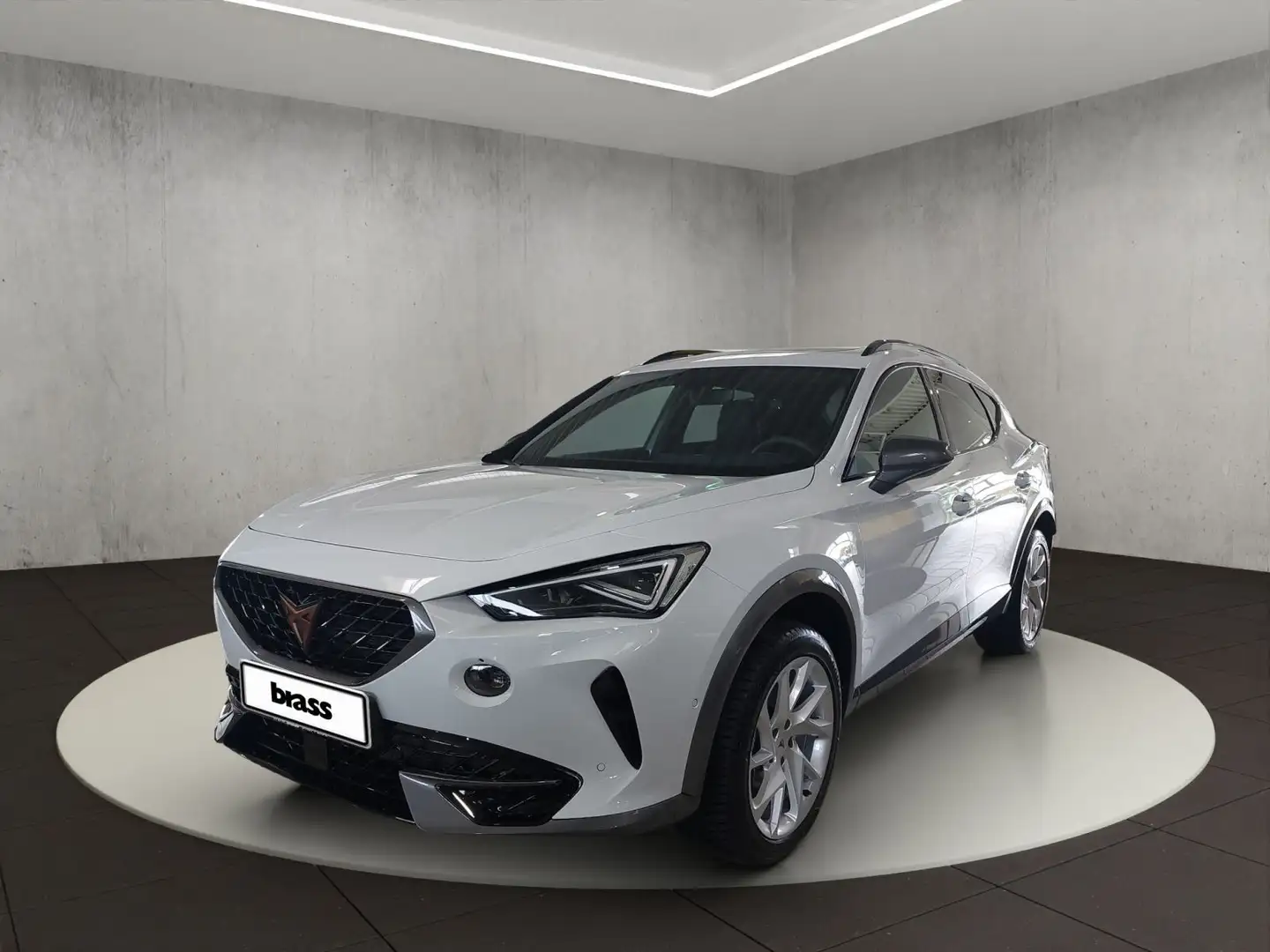 CUPRA Formentor 1.5 TSI elekt. Heckklappe Rückfahrkame Weiß - 1