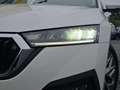 Skoda Octavia Tour 2.0 TDI DSG V-COCK ACC NAVI KEYLESS Blanc - thumbnail 5