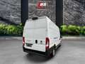 Fiat Ducato Maxi L5H3 NEW MODEL Kamera Tempom Parkass - thumbnail 8
