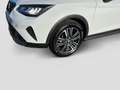 SEAT Arona Road Edition 1.0 TSI 85 kW (116 PS) DSG Weiß - thumbnail 5