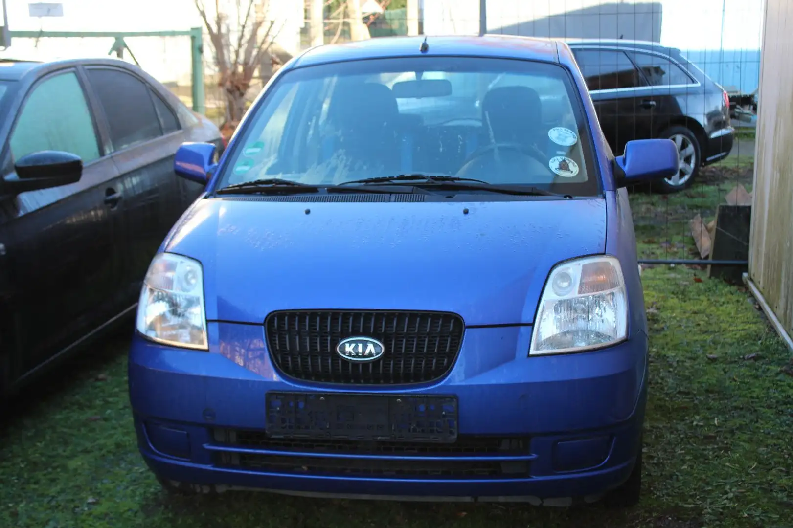 Kia Picanto Blau - 1