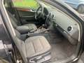 Audi A3 1.6 TDI (DPF) 77kW Ambiente/ TÜV 05/27 Negru - thumbnail 10