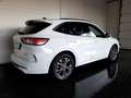 Ford Kuga ST-LINE X 2,5 DURATEC PHEV Aut *VOLL LED / 18 ZOLL / NAVI / VIRTUELL / WINTERPAKET / B&O SOUNDSYSTEM* Weiß - thumbnail 2
