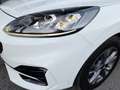 Ford Kuga ST-LINE X 2,5 DURATEC PHEV Aut *VOLL LED / 18 ZOLL / NAVI / VIRTUELL / WINTERPAKET / B&O SOUNDSYSTEM* Weiß - thumbnail 14
