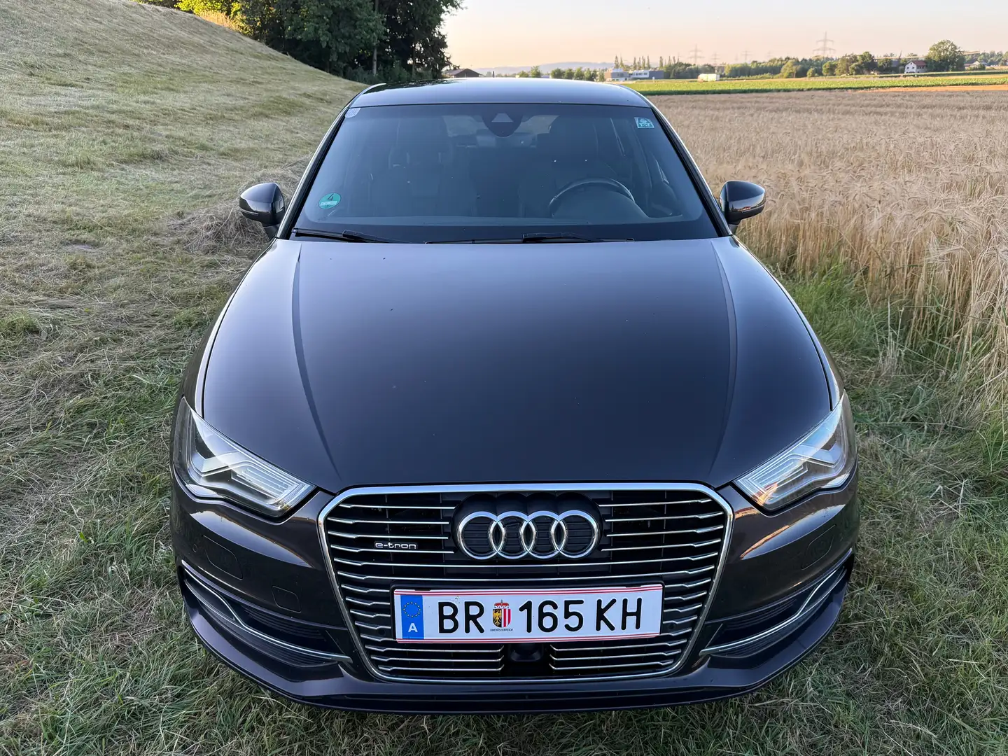 Audi A3 1.4 TFSI Sportback e-tron Braun - 2