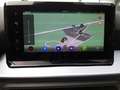 SEAT Ibiza FR Black Edition 150 PS *RFK*PANO*DSG*SH* Bleu - thumbnail 19