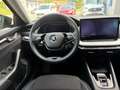 Skoda Octavia Combi Selection 2.0 TDI Schwarz - thumbnail 8