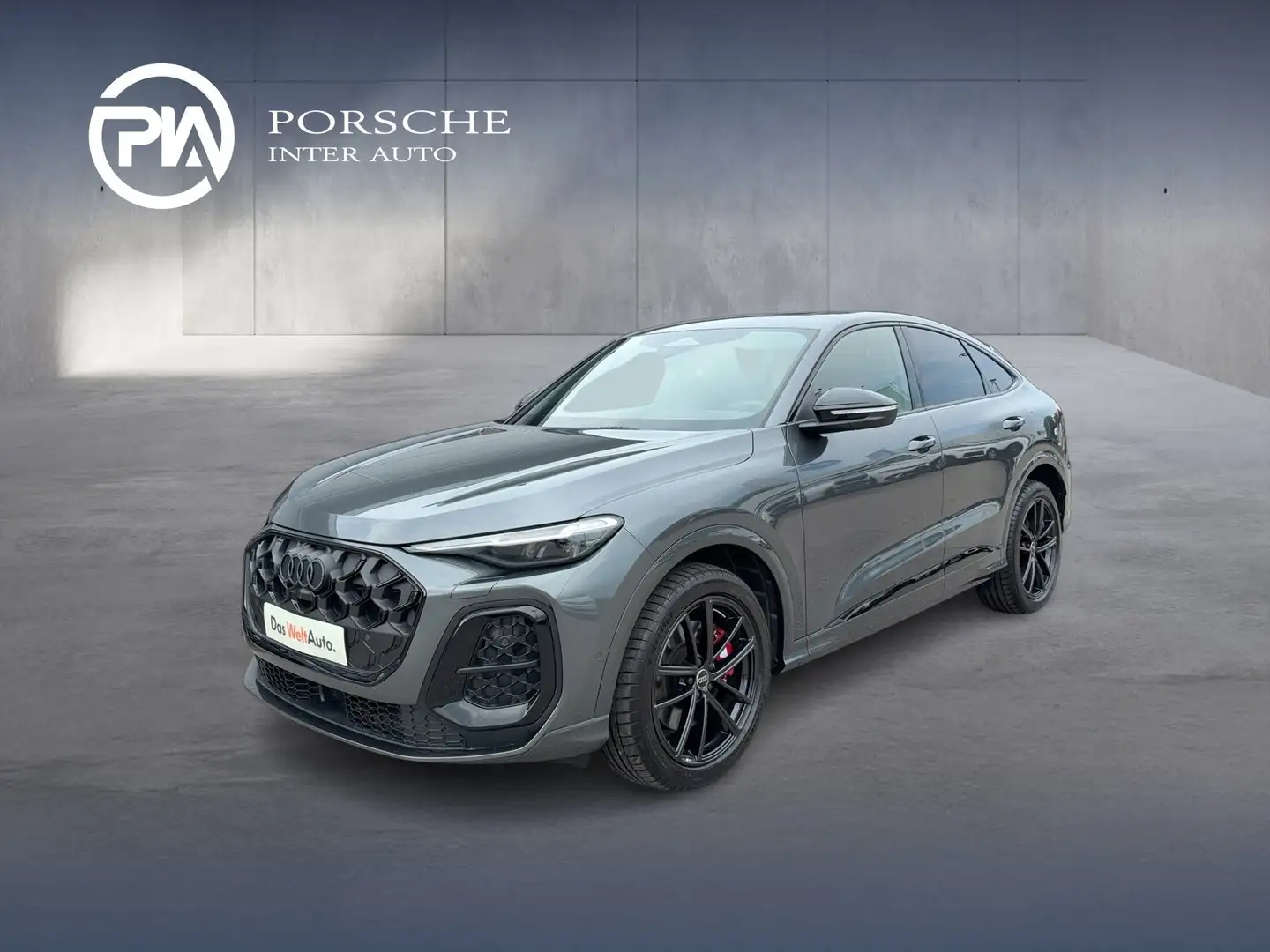 Audi SQ5 TFSI Grau - 1
