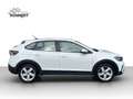 Volkswagen Taigo 1.0 TSI GRA LED 17" PDC SHZ Weiß - thumbnail 8