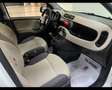 Fiat Panda 1.3 MJT S&S 75CV 2014 * NEOPATENTATI * Alb - thumbnail 14