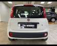 Fiat Panda 1.3 MJT S&S 75CV 2014 * NEOPATENTATI * Alb - thumbnail 6