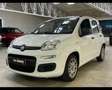 Fiat Panda 1.3 MJT S&S 75CV 2014 * NEOPATENTATI * Alb - thumbnail 1