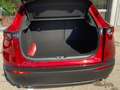 Mazda CX-30 2,5l HOMURA, Automatik Rot - thumbnail 16