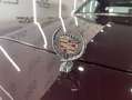 Cadillac Fleetwood Brougham Violett - thumbnail 30