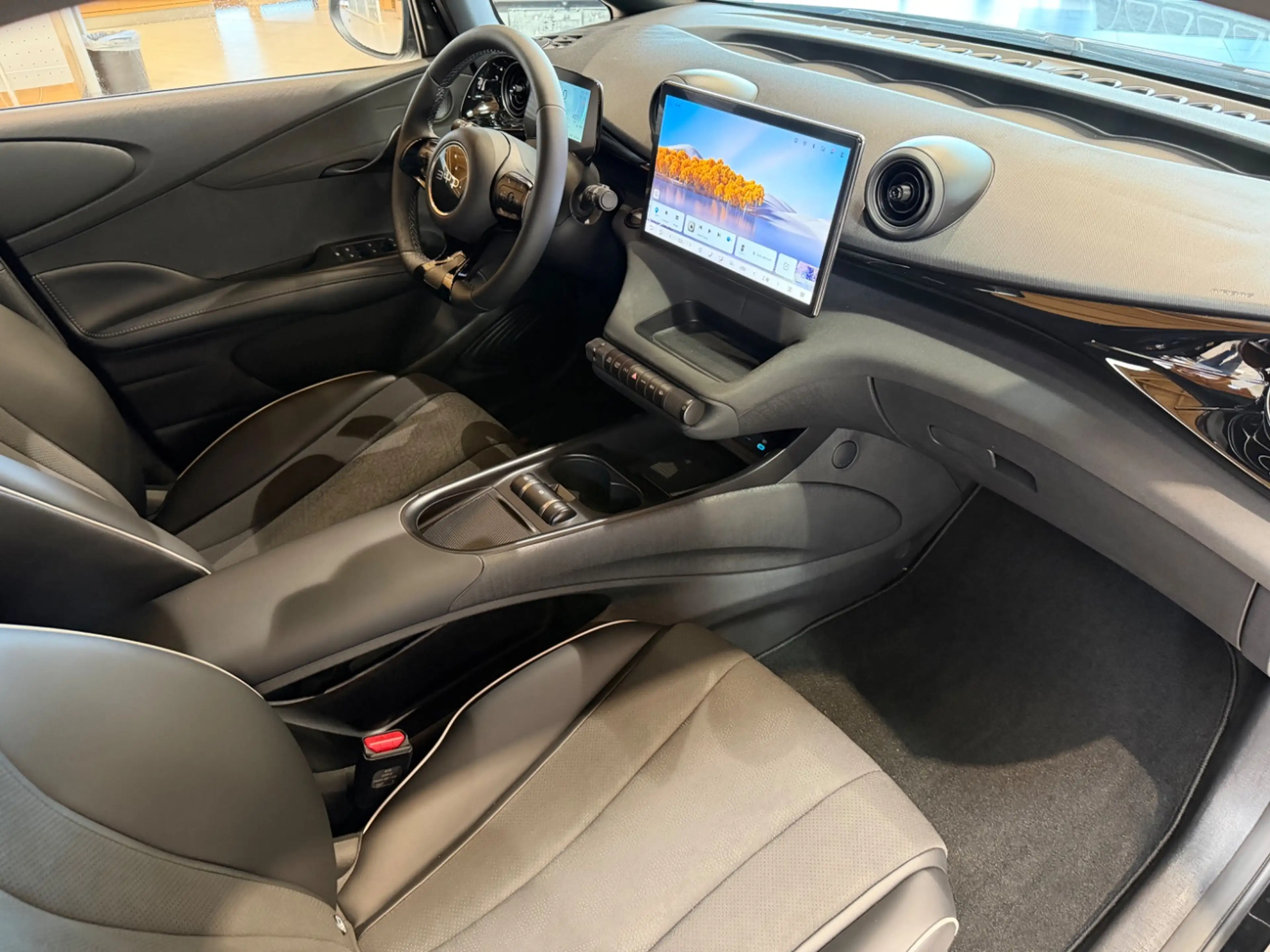 BYD Dolphin Comfort Navi 360° ACC Fernlichtass. — photo 13