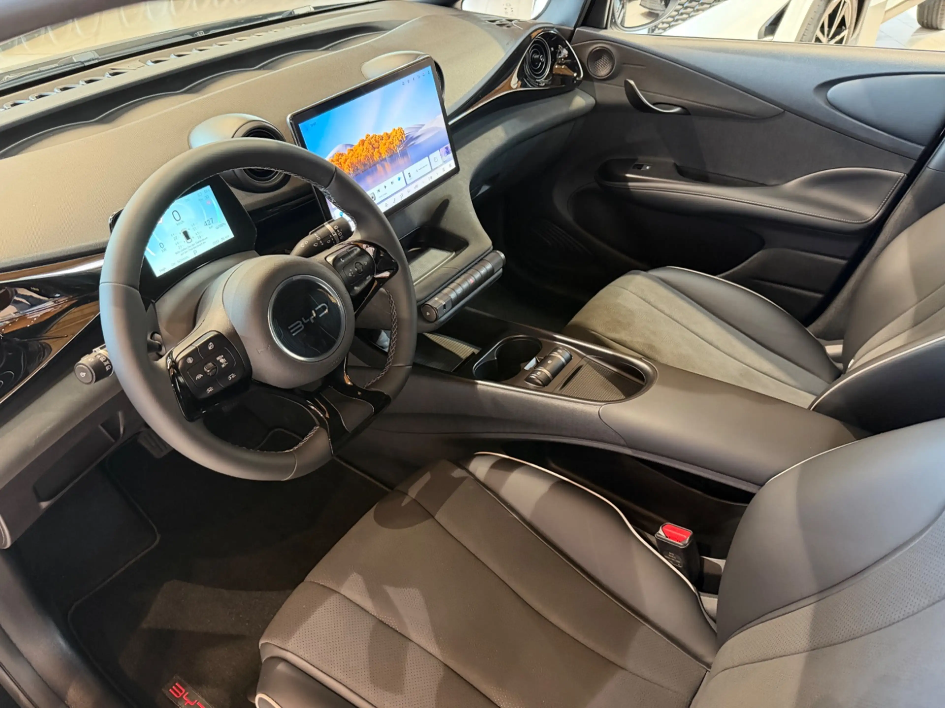 BYD Dolphin Comfort Navi 360° ACC Fernlichtass. — photo 11