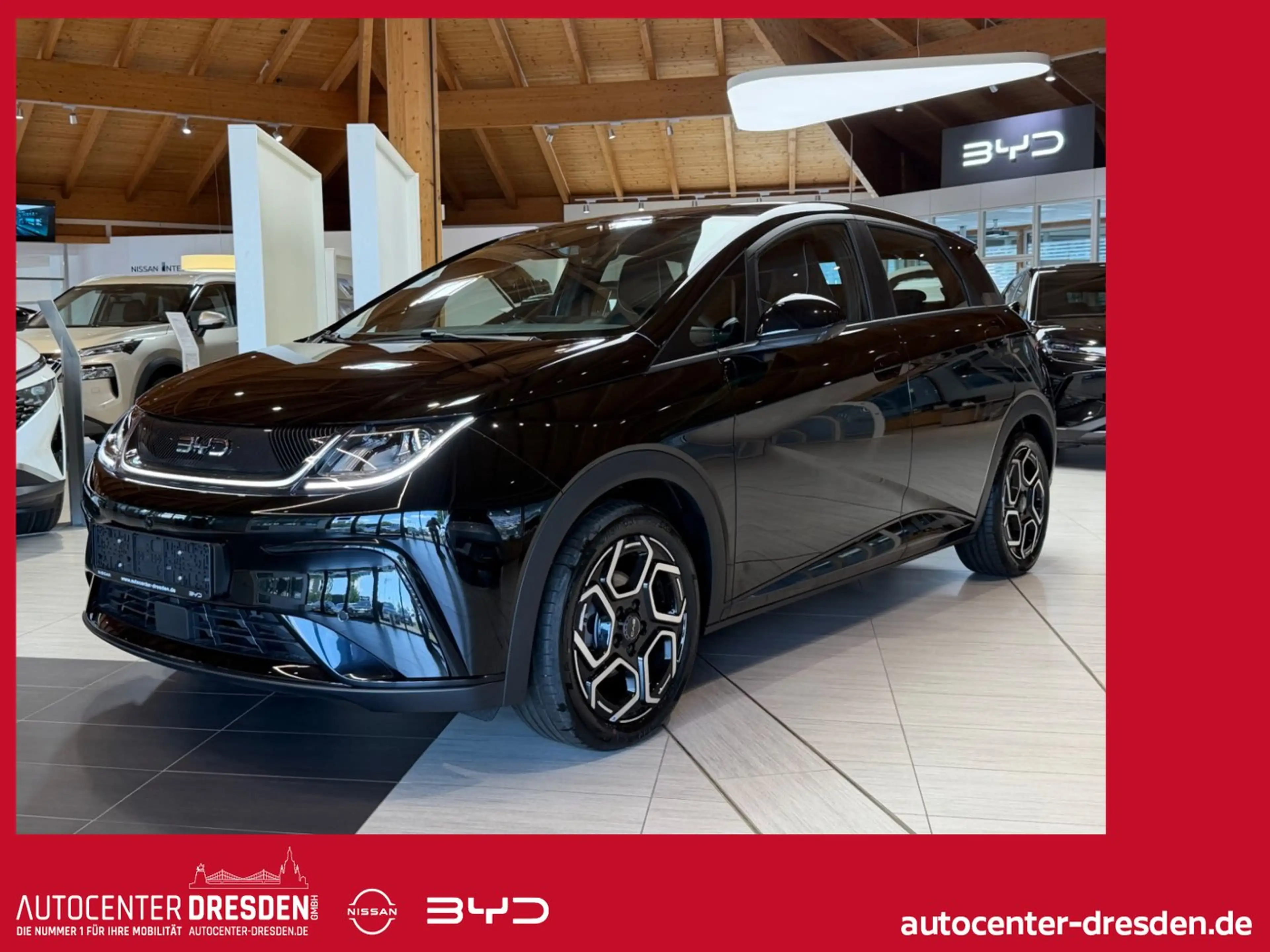 BYD Dolphin Comfort Navi 360° ACC Fernlichtass.