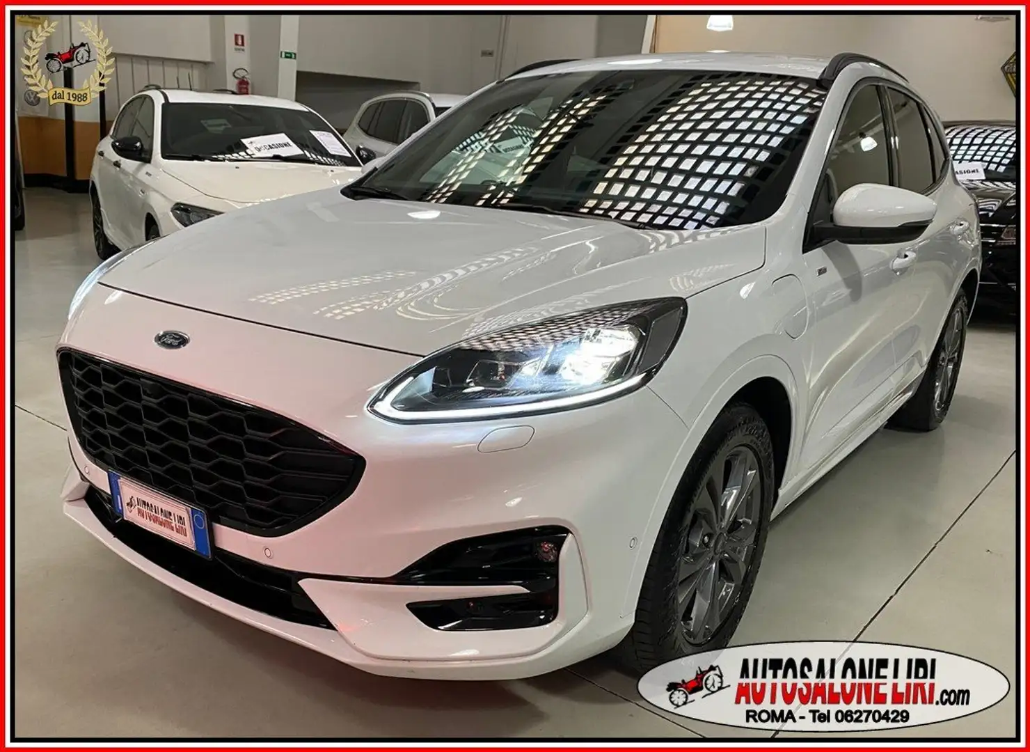 Ford Kuga 2.5 PLUG IN HYBRID 225cv STLine X Blanc - 2