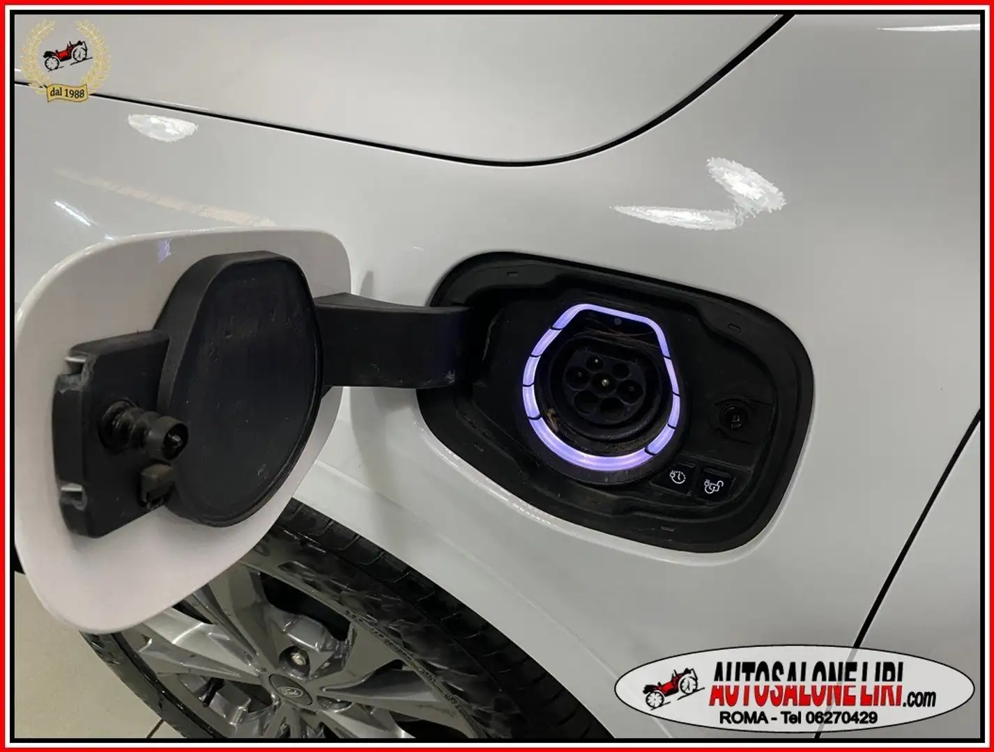 Ford Kuga 2.5 PLUG IN HYBRID 225cv STLine X Blanc - 1