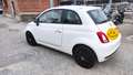 Fiat 500 1.2 Collezione 69cv - thumbnail 2