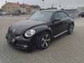 Volkswagen Beetle 1.6TDI DESIGN Zwart - thumbnail 1