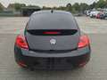 Volkswagen Beetle 1.6TDI DESIGN Zwart - thumbnail 5