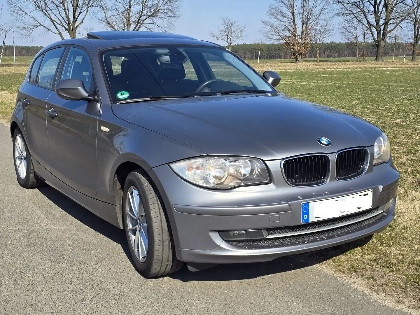 BMW 120 1er+Diesel+(5-Türer)+120d Серый - 1