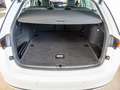 Skoda Octavia Combi 2.0 TDI Tour MATRIX-LED 360° Weiß - thumbnail 17