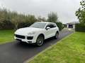 Porsche Cayenne hybride!110000 km!!!eerste eigenaar!0477048163 Blanc - thumbnail 2
