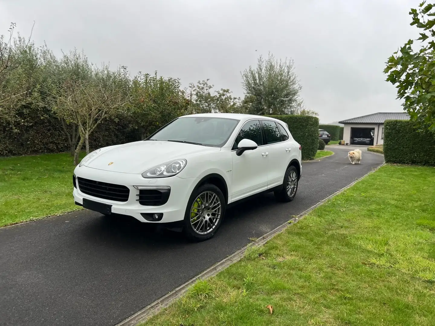 Porsche Cayenne hybride!110000 km!!!eerste eigenaar!0477048163 Blanc - 2