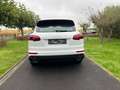 Porsche Cayenne hybride!110000 km!!!eerste eigenaar!0477048163 Blanc - thumbnail 7
