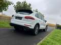 Porsche Cayenne hybride!110000 km!!!eerste eigenaar!0477048163 Blanc - thumbnail 5