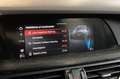 Alfa Romeo Stelvio ALFA ROMEO Stelvio 2.2 Turbodiesel 160 CV AT8 RWD Grigio - thumbnail 25