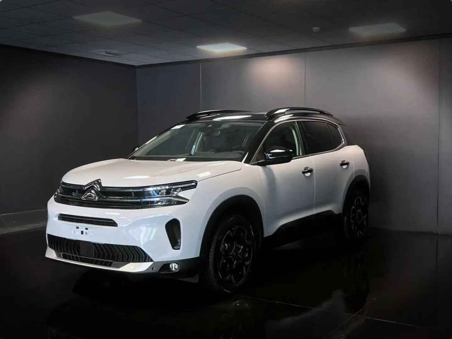 Citroen C5 Aircross BlueHDi 130 S&S EAT8 Max Wit - 1