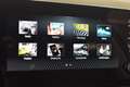 Skoda Fabia 1.0 MPI Selection 130 Jahre Grau - thumbnail 18